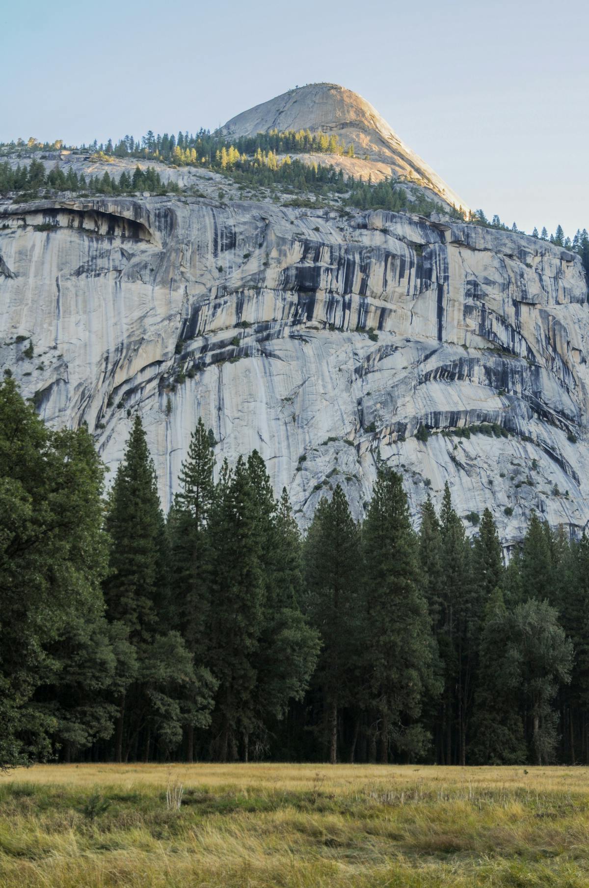 開源軟體獲得企業採用
